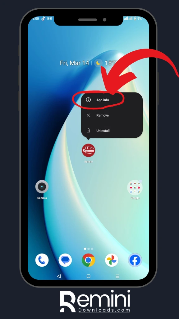 Remini App is Not Working? Here’s How to Fix It Instantly! 2 Remini APK app info