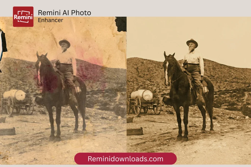 horse photo enhancement